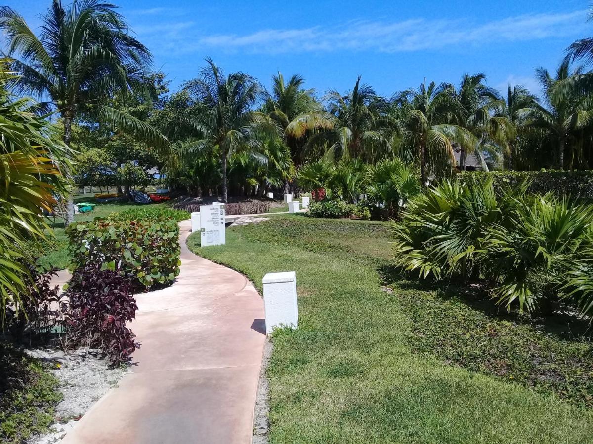 Appartamento Swim The Caribbean & Work With A View Cancún Esterno foto