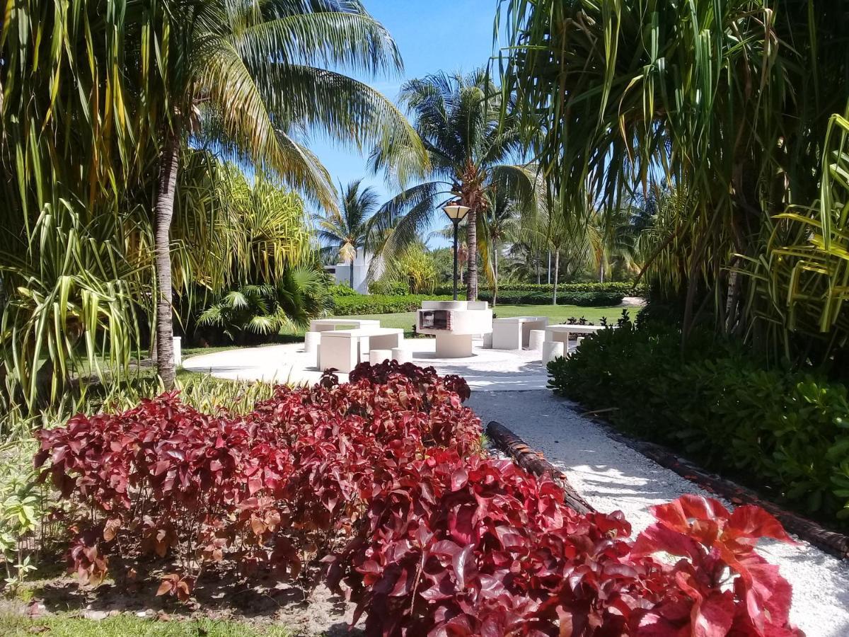 Appartamento Swim The Caribbean & Work With A View Cancún Esterno foto