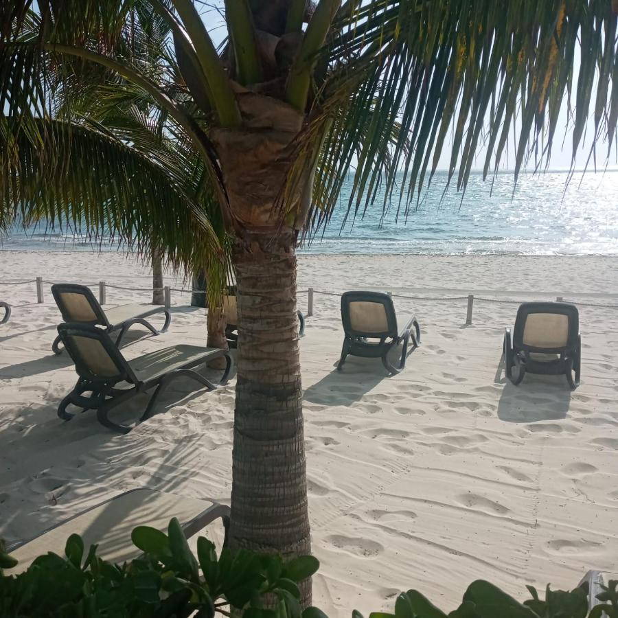 Appartamento Swim The Caribbean & Work With A View Cancún Esterno foto